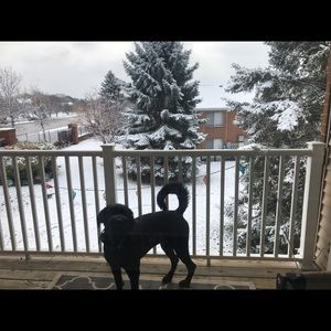 Meet your Posher, Brian